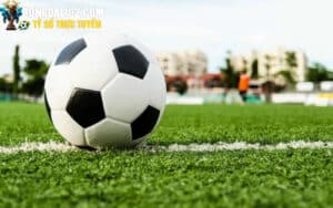 Khái niệm cụ thể về típ nội gián bóng đá