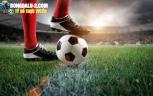 Tìm hiểu vài nét ở kèo rung là gì? 