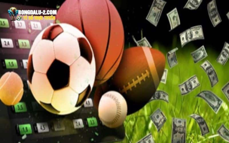 Sinh lời bóng đá tại nhà cái VN88