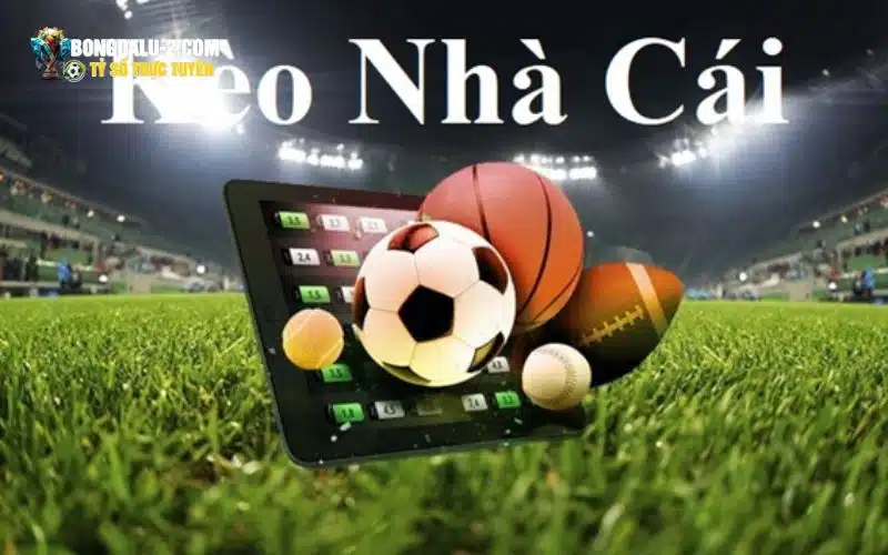 Cập nhật đa dạng các tỷ lệ kèo tại trang cá độ bóng đá