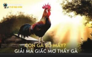 Giấc mơ người tuổi gà đánh con gì?