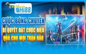 Tận hưởng trải nghiệm cá cược bóng chuyền trơn tru