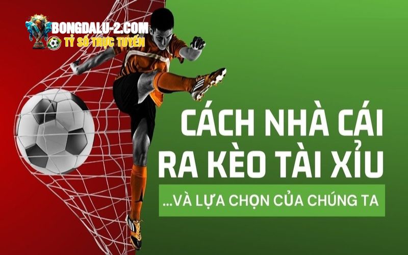 Mọi người cần làm gì khi hiểu cách nhà cái ra kèo?