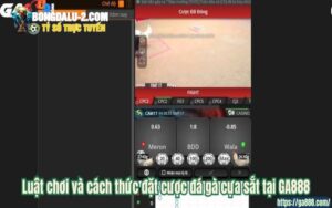 Luật chơi và cách thức đặt cược đá gà cựa sắt tại GA888