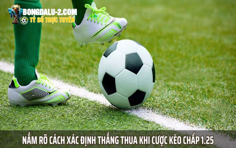 Cách tính kết quả thắng thua khi tham gia kèo chấp 1.25