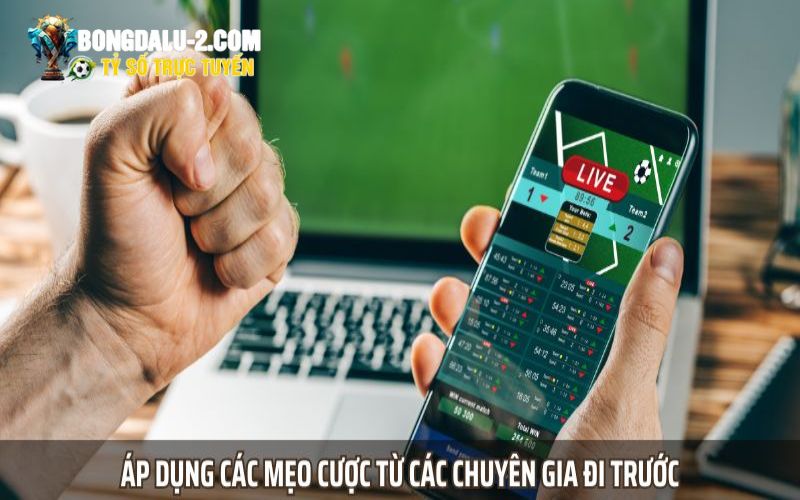 Kinh nghiệm đặt cược kèo chấp 1.25 đạt hiệu quả cao